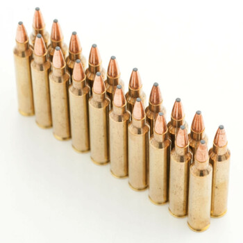 Cheap 204 Ruger Ammo In Stock  - 45 gr SP - Hornady 204 Ruger Ammunition For Sale Online - 20 Rounds