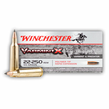 Cheap 22-250 Rem Winchester Ammo For Sale - 55 gr Polymer Tip Ammunition In Stock by Winchester Varmint-X - 20 Rounds