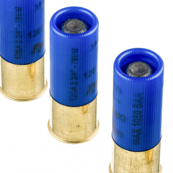 Cheap 12 ga Ammo For Sale - 2-3/4" 1oz Reduced Recoil Rifled Slug Ammunition by Remington - 5 Rounds