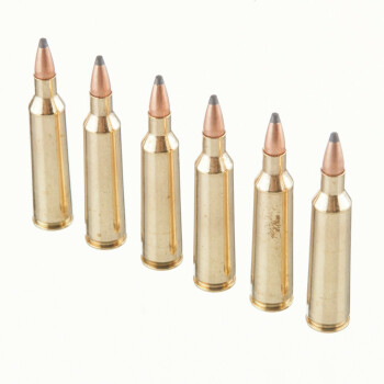 22-250 Ammo For Sale - 55 gr PSP - Fiocchi Ammo Online