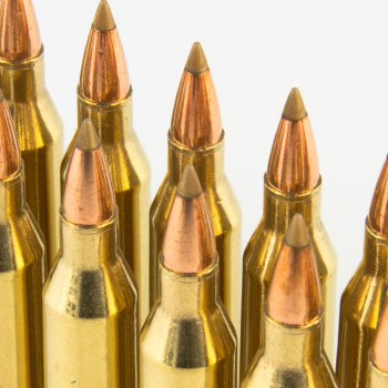 Premium 243 Win Varmint Ammo For Sale - 75 gr AccuTip Ammunition In Stock by Remington - 20 Rounds