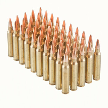 Premium 223 Rem Ammo For Sale - 62 Grain Barnes TSX Ammunition in Stock by Black Hills - 50 Rounds