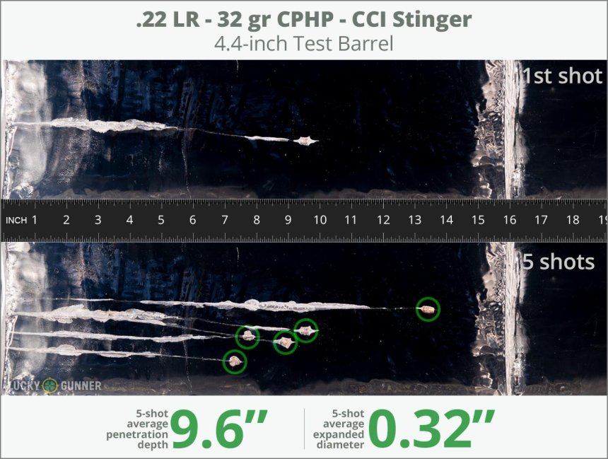 Image showing CCI .22 Long Rifle (LR) 32 Grain rounds fired into ballistic gel