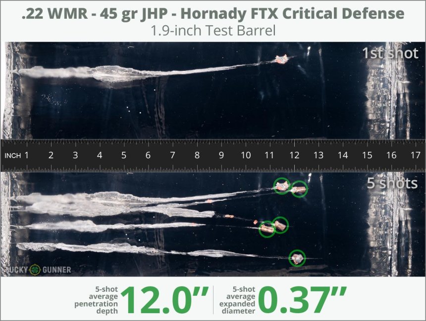 Image showing Hornady .22 Magnum (WMR) 45 Grain rounds fired into ballistic gel