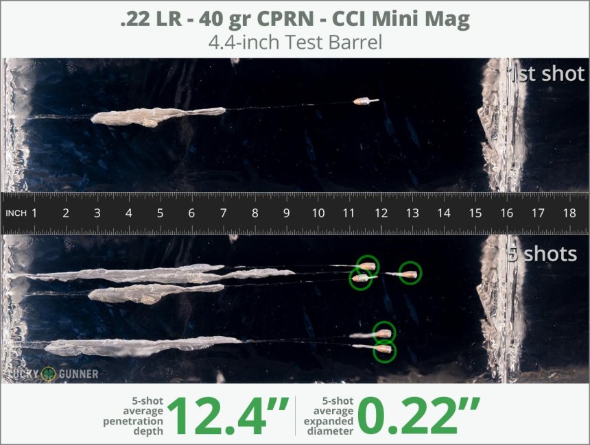 Image showing CCI .22 Long Rifle (LR) 40 Grain rounds fired into ballistic gel
