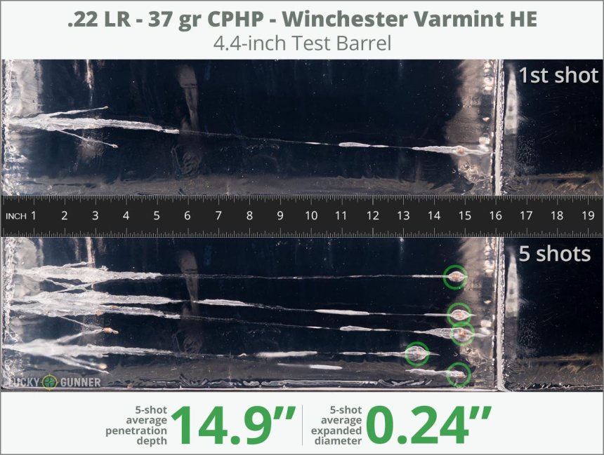Image showing Winchester .22 Long Rifle (LR) 37 Grain rounds fired into ballistic gel