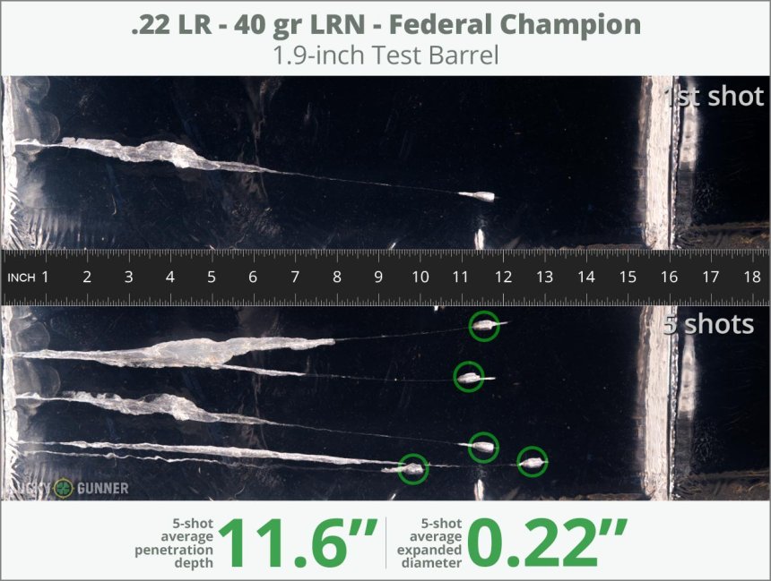 Image showing Federal .22 Long Rifle (LR) 40 Grain rounds fired into ballistic gel