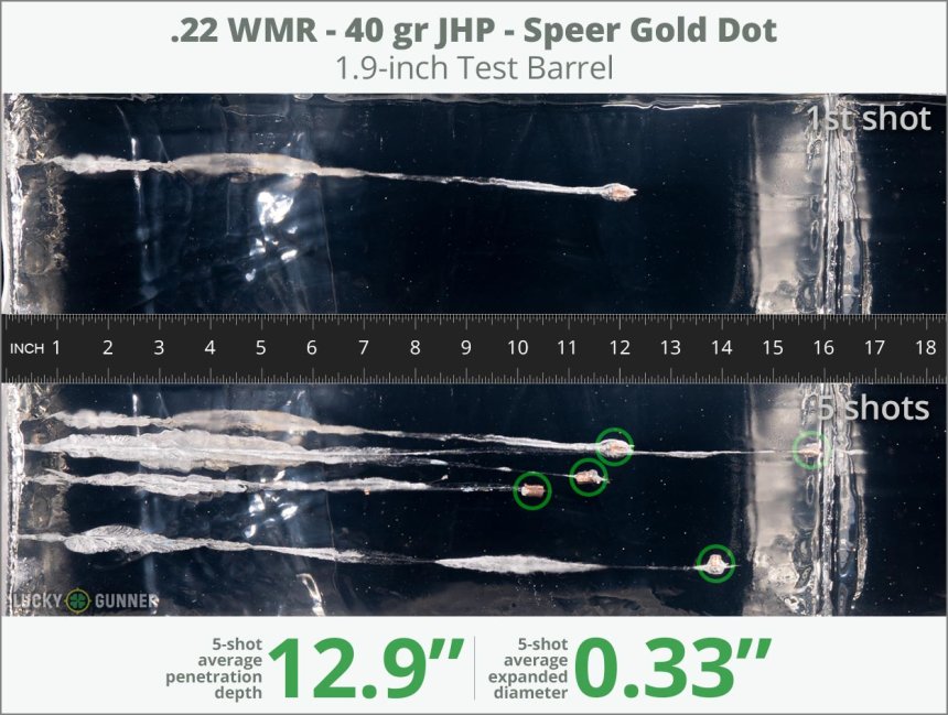 Image showing Speer .22 Magnum (WMR) 40 Grain rounds fired into ballistic gel