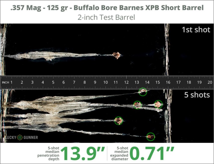 Image showing Buffalo Bore .357 Magnum 125 Grain rounds fired into ballistic gel