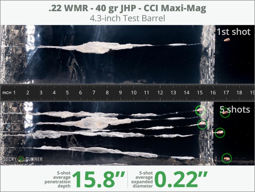 Image showing CCI .22 Magnum (WMR) 40 Grain rounds fired into ballistic gel