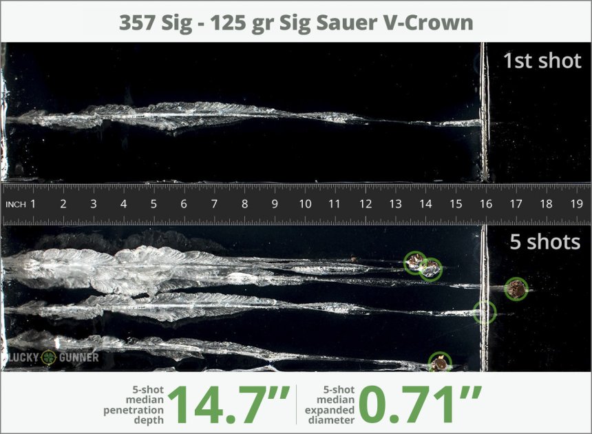 Image showing SIG SAUER .357 Sig 125 Grain rounds fired into ballistic gel