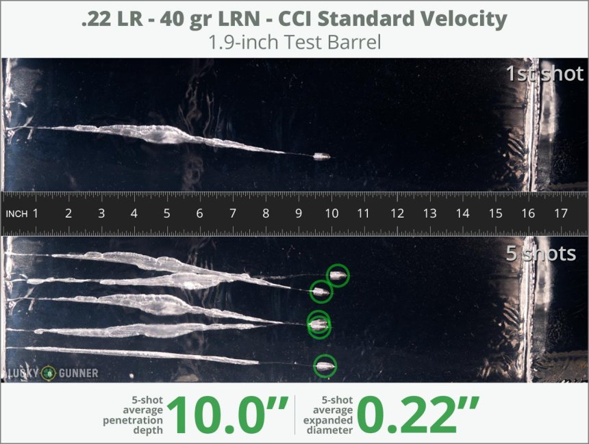Image showing CCI .22 Long Rifle (LR) 40 Grain rounds fired into ballistic gel