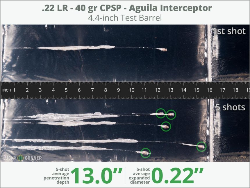 Image showing Aguila .22 Long Rifle (LR) 40 Grain rounds fired into ballistic gel