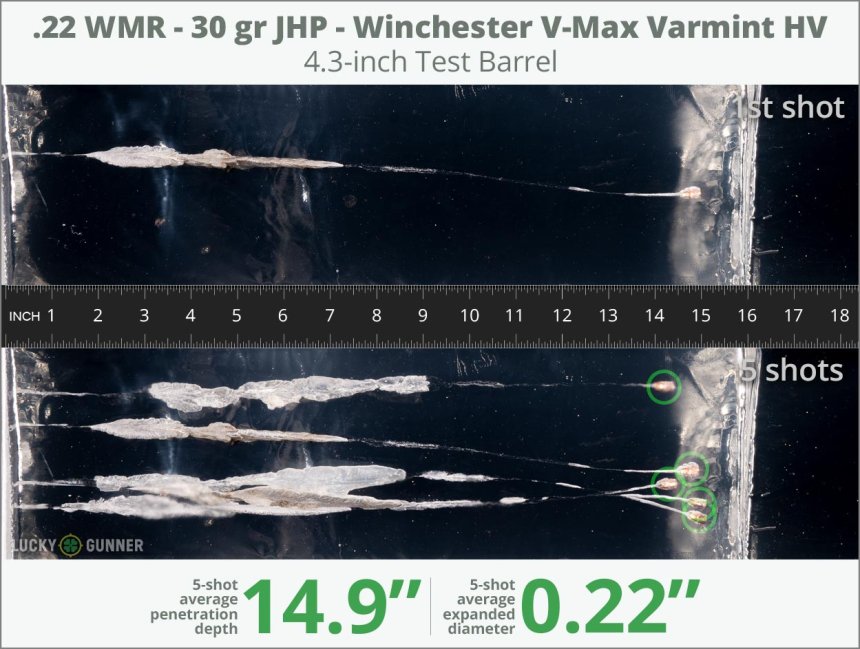 Image showing Winchester .22 Magnum (WMR) 30 Grain rounds fired into ballistic gel
