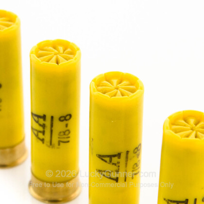 Image 5 of Winchester 20 Gauge Ammo