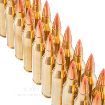 Large image of Premium 243 Ammo For Sale - 80 Grain Hornady GMX Ammunition in Stock by Black Hills Gold - 20 Rounds