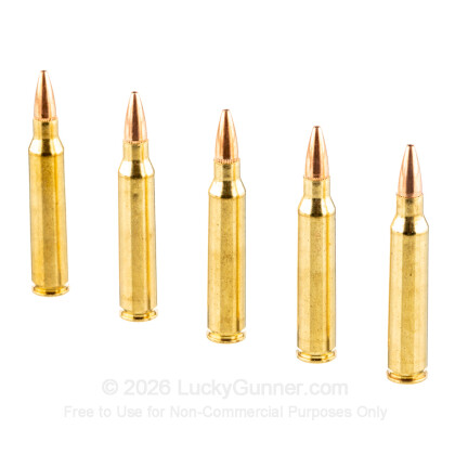 Image 4 of Federal .223 Remington Ammo