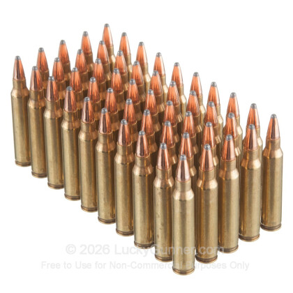 Large image of Premium 223 Rem Ammo For Sale - 60 Grain Soft Point Ammunition in Stock by Black Hills Ammunition - 50 Rounds
