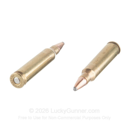 Large image of Premium 223 Rem Ammo For Sale - 60 Grain Soft Point Ammunition in Stock by Black Hills Ammunition - 50 Rounds