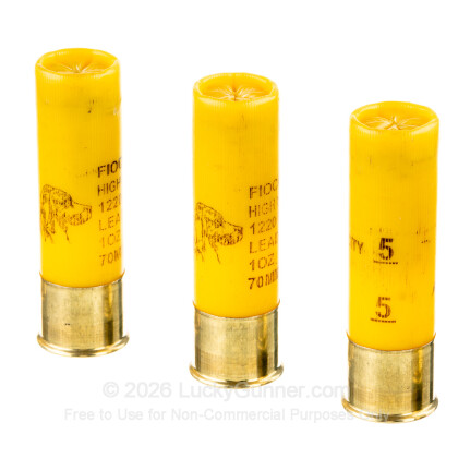 Large image of Cheap 20 ga High Velocity Shot Shells For Sale - 2-3/4" 1 oz  #5 Shot by by Fiocchi - 25 Rounds