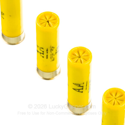 Image 5 of Winchester 20 Gauge Ammo