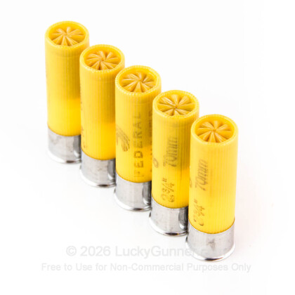 Image 4 of Federal Ammo from Federal Image 4 of Federal 20 Gauge Ammo