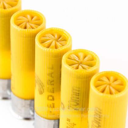 Image 5 of Federal Ammo from Federal Image 5 of Federal 20 Gauge Ammo