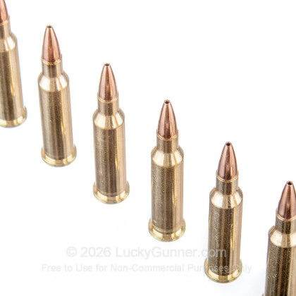 Image 5 of 17 Hornet Ammo from Hornady Image 5 of Hornady .17 Hornet Ammo