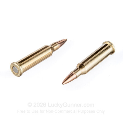 Image 6 of 17 Hornet Ammo from Hornady Image 6 of Hornady .17 Hornet Ammo