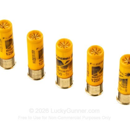 Image 5 of Federal 20 Gauge Ammo