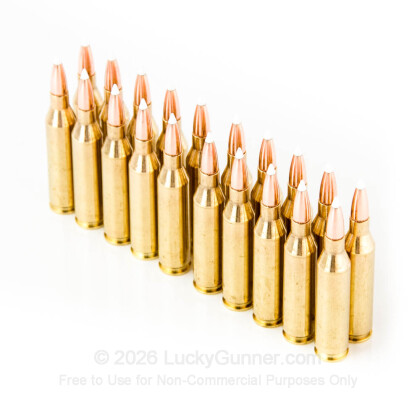 Large image of Nosler Trophy Grade 243 Winchester 90gr Accubond Ammo For Sale At Lucky Gunner - 20 Rounds