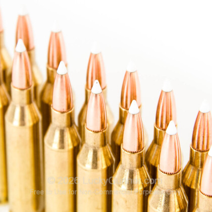 Large image of Nosler Trophy Grade 243 Winchester 90gr Accubond Ammo For Sale At Lucky Gunner - 20 Rounds