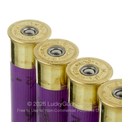 Large image of Cheap 16 Gauge Ammo For Sale - 2-3/4" 2-1/2 Dram 1 oz. #6 Shot Ammunition in Stock by Estate Heavy Game Load - 25 Rounds