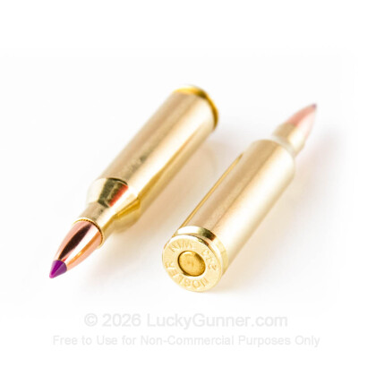 Large image of 243 Win Ammo - Nosler Ballistic Tip Hunting 90 gr BT - 20 Rounds