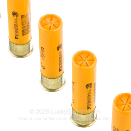 Image 5 of Federal 20 Gauge Ammo