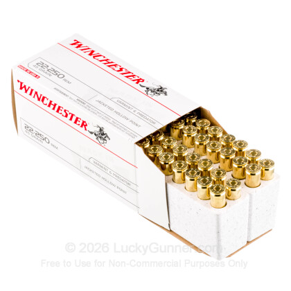 Large image of 22-250 Ammo For Sale - 45 gr JHP - Winchester USA Ammo Online