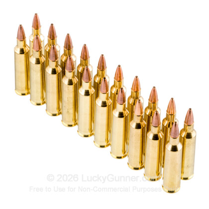 Large image of 22-250 Ammo For Sale - 45 gr JHP - Winchester USA Ammo Online