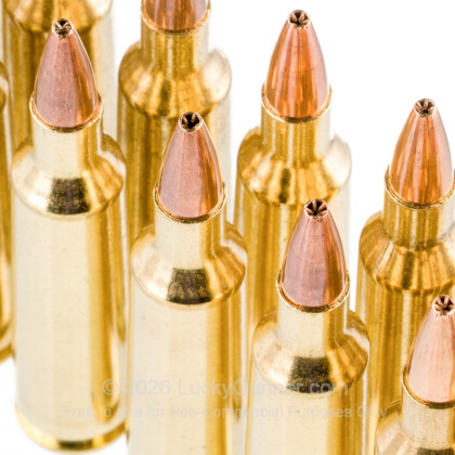 Large image of 22-250 Ammo For Sale - 45 gr JHP - Winchester USA Ammo Online