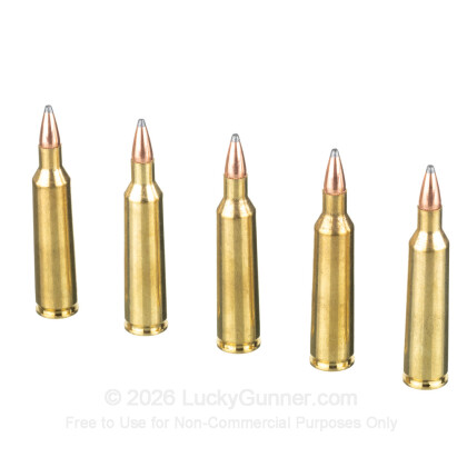 Image 4 of HSM Ammunition .22-250 Remington Ammo