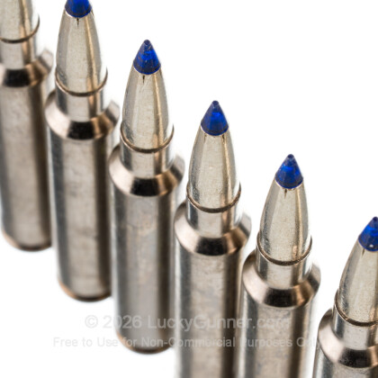 Large image of Federal 7mm Backcountry - 170gr Terminal Ascent - 20rds