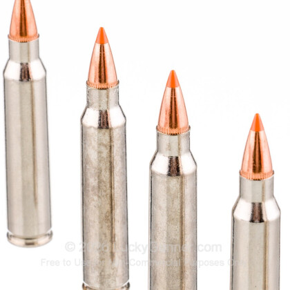 Image 5 of Federal .223 Remington Ammo