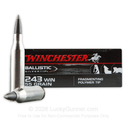 Image 1 of Winchester .243 Winchester Ammo