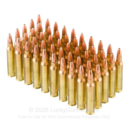 Image 3 of Remington .223 Remington Ammo