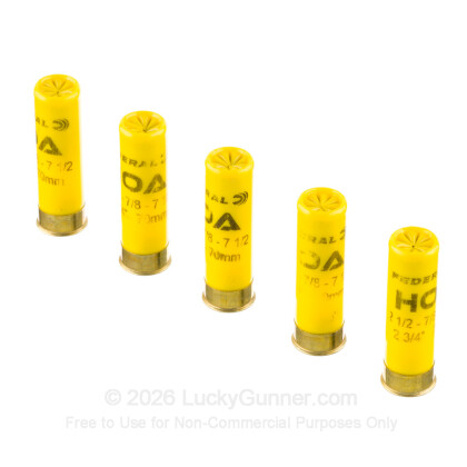 Image 4 of Federal 20 Gauge Ammo