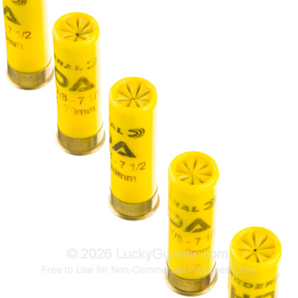 Image 5 of Federal 20 Gauge Ammo