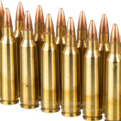 Image 5 of Winchester .22-250 Remington Ammo