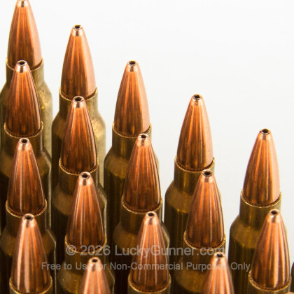 Large image of Premium 223 Rem Ammo For Sale - 75 Grain Match Hollow Point Ammunition in Stock by Black Hills Ammunition - 50 Rounds