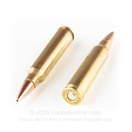 Large image of Premium 223 Rem Ammo For Sale - 75 Grain Match Hollow Point Ammunition in Stock by Black Hills Ammunition - 50 Rounds