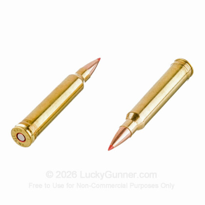 Large image of Premium 300 Winchester Magnum Ammo For Sale - 178 Grain A-Max Polymer Tip Ammunition in Stock by Black Hills Gold - 20 Rounds