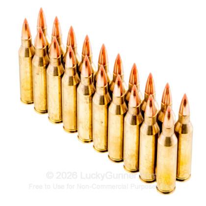 Image 4 of Hornady .243 Winchester Ammo